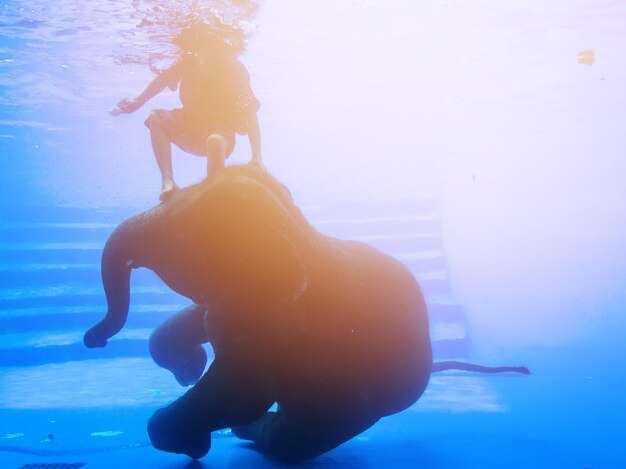 Jak basen wpływa na sylwetkę podczas regularnych treningów?