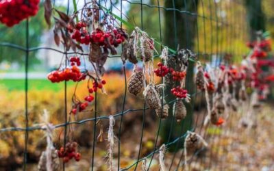 Retix C jak wykonać zabieg w domowych warunkach?