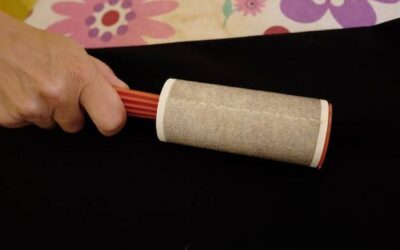 Roll shaper co daje i kiedy warto z niego korzystać?