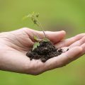 Jak wygładzić dłonie domowymi sposobami?